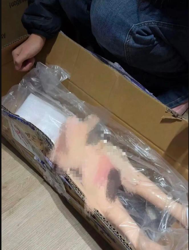 极目锐评丨“幼女版”硅胶娃娃公然出售冲击人伦底线