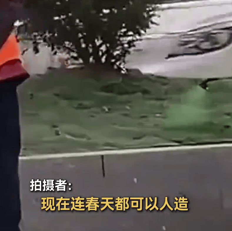 广州白云回应“喷药造绿”，记者调查：增色剂难根治草坪枯黄