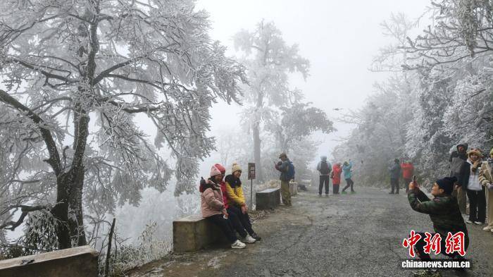 “华南之巅”广西猫儿山现雾凇盛景