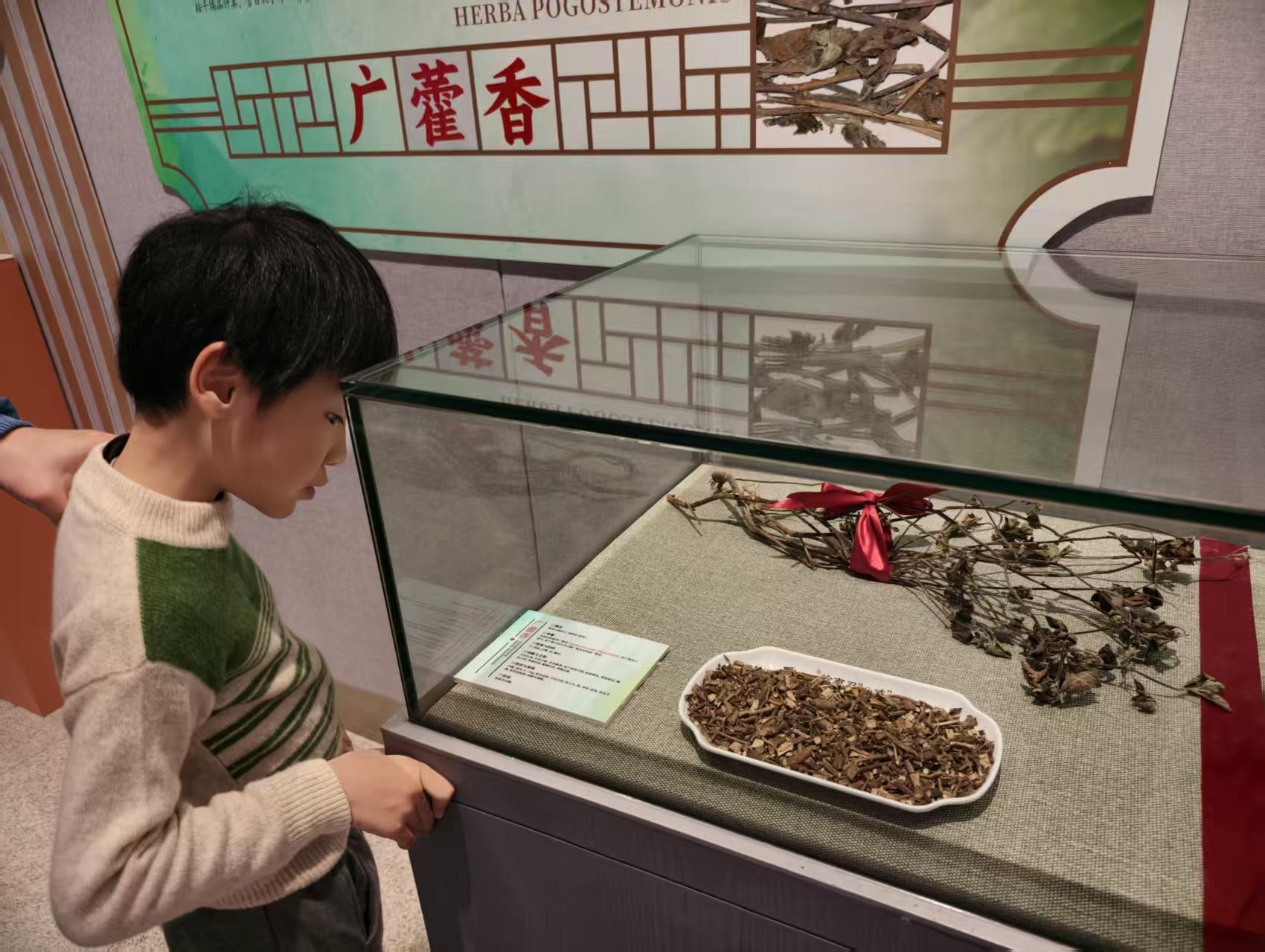  【视频】岭南双“八味”开展！广东人DNA里的“养生因子”，动了吗？