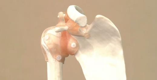 健康之路  你的身体素质达标了吗？