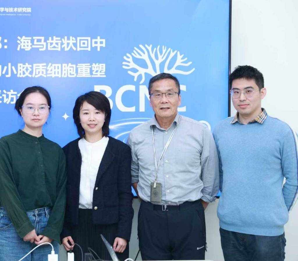 慢性疼痛为何致抑郁焦虑？复旦团队找到“情绪闸门”，在《科学》发文