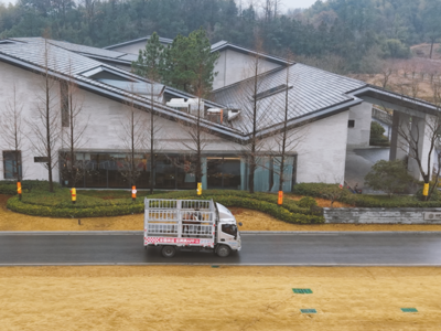 春潮涌动在车轮上：一份货运大数据里的中国初春