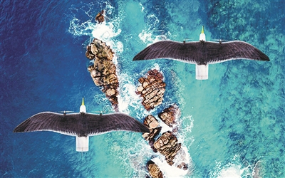 新装备展台丨“海鸥进化版”无人机亮相