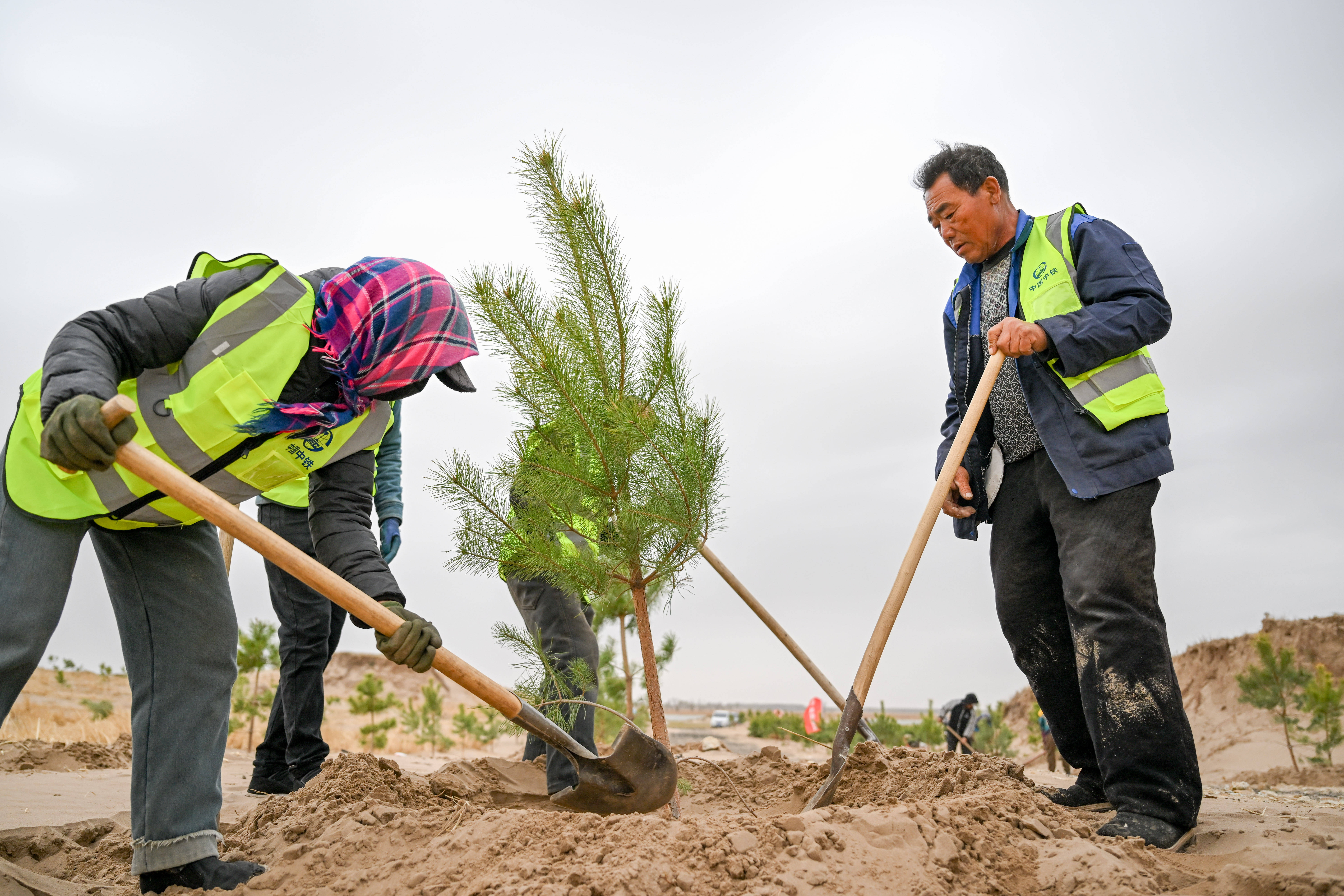 内蒙古通辽：科尔沁沙地歼灭战进行时