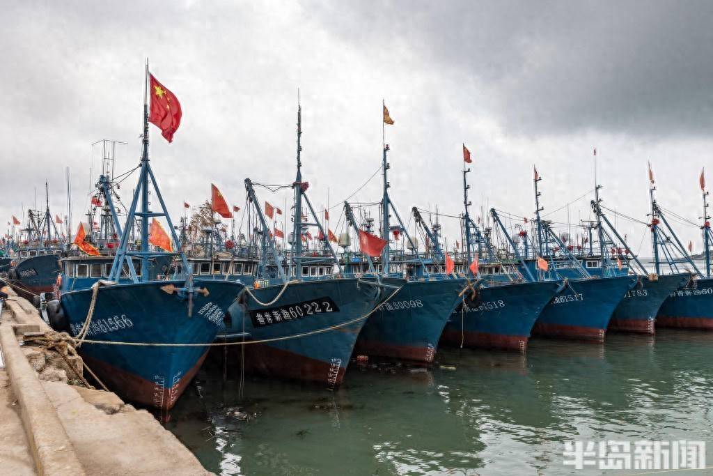 静待开海！西海岸渔港备战忙 百艘渔船蓄势待发